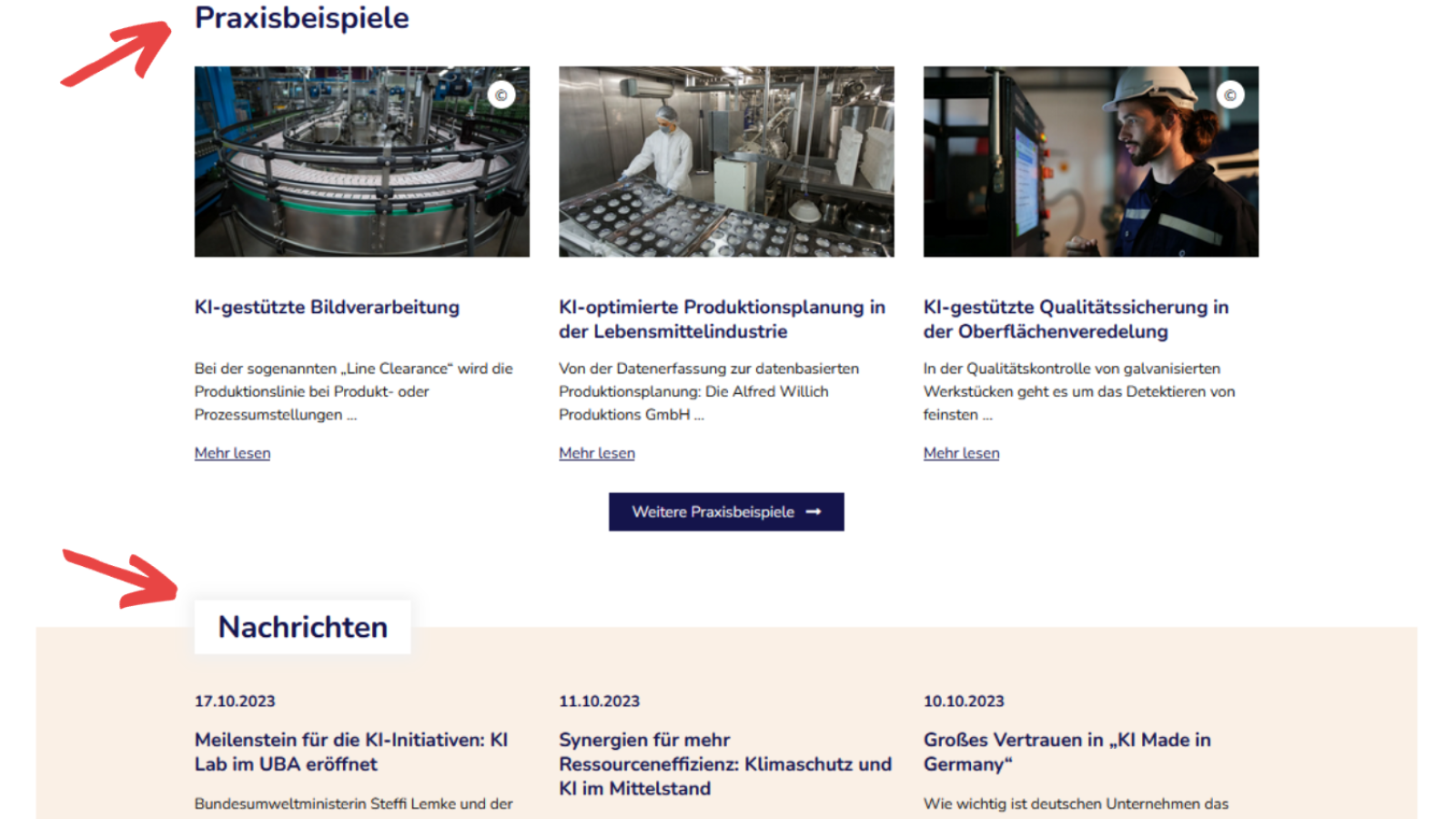 Screenshot der Webseite - Hauptteil